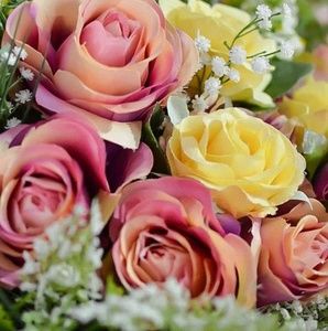 Meet your Posher, Isabel